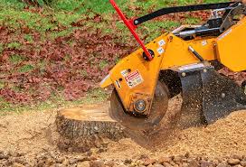 Best Lawn Disease Treatment  in Grand Terrace, CA