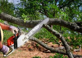 Leaf Removal in Grand Terrace, CA